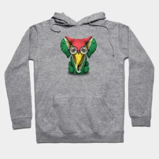 Baby Elephant with Glasses and Guyanese Flag Hoodie